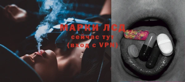 спайс Пионерский