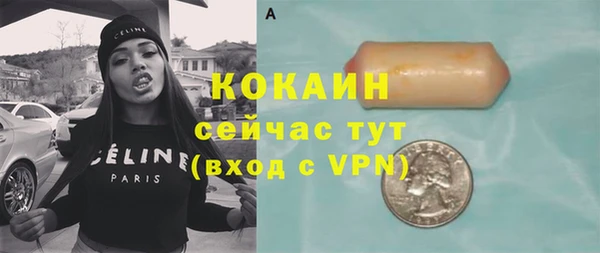 спайс Пионерский
