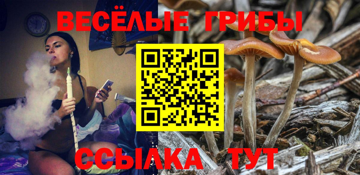 Псилоцибиновые грибы GOLDEN TEACHER Белгород