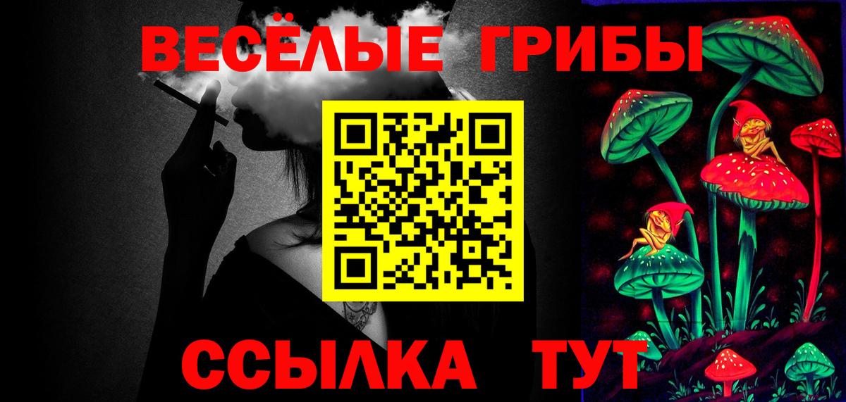 Галлюциногенные грибы мицелий  Галлюциногенные грибы Psilocybe  Вход с VPN  Белгород 